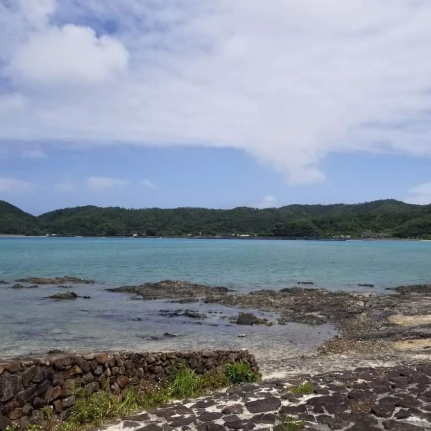 奄美の食文化　かしゃもち